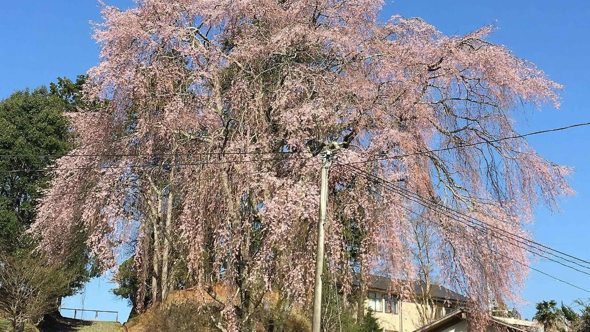 Дом отдыха Kyoto - House / Vacation Stay 14527 Япония